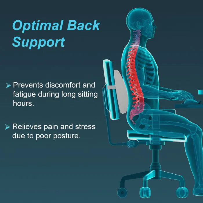 Lumbo Back Rest