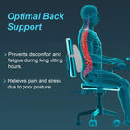 Lumbo Back Rest