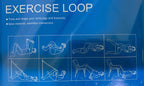 DJ SUPPORT EXERCISE LOOP BAND