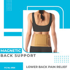 VISSCO MAGNETIC BACK SUPPORT FOR THE LUMBAR SPINE | BACK INJURY (BEIGE)