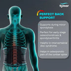 TYNOR LIMBO SACRAL BELT