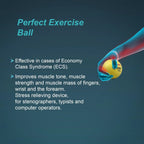TYNOR EXERCISING BALL UP ( H-05 )