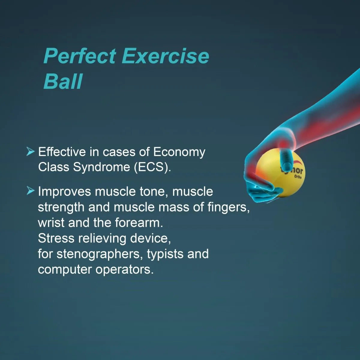 TYNOR EXERCISING BALL UP ( H-05 )