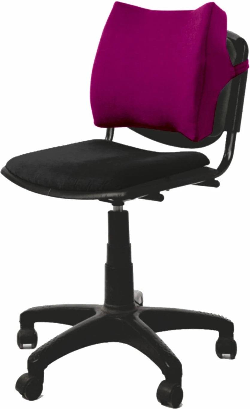 VISSCO OTHOPAEDIC BACK REST | HELPS TO CORRECT POSTURE OF THE LOWER BACK